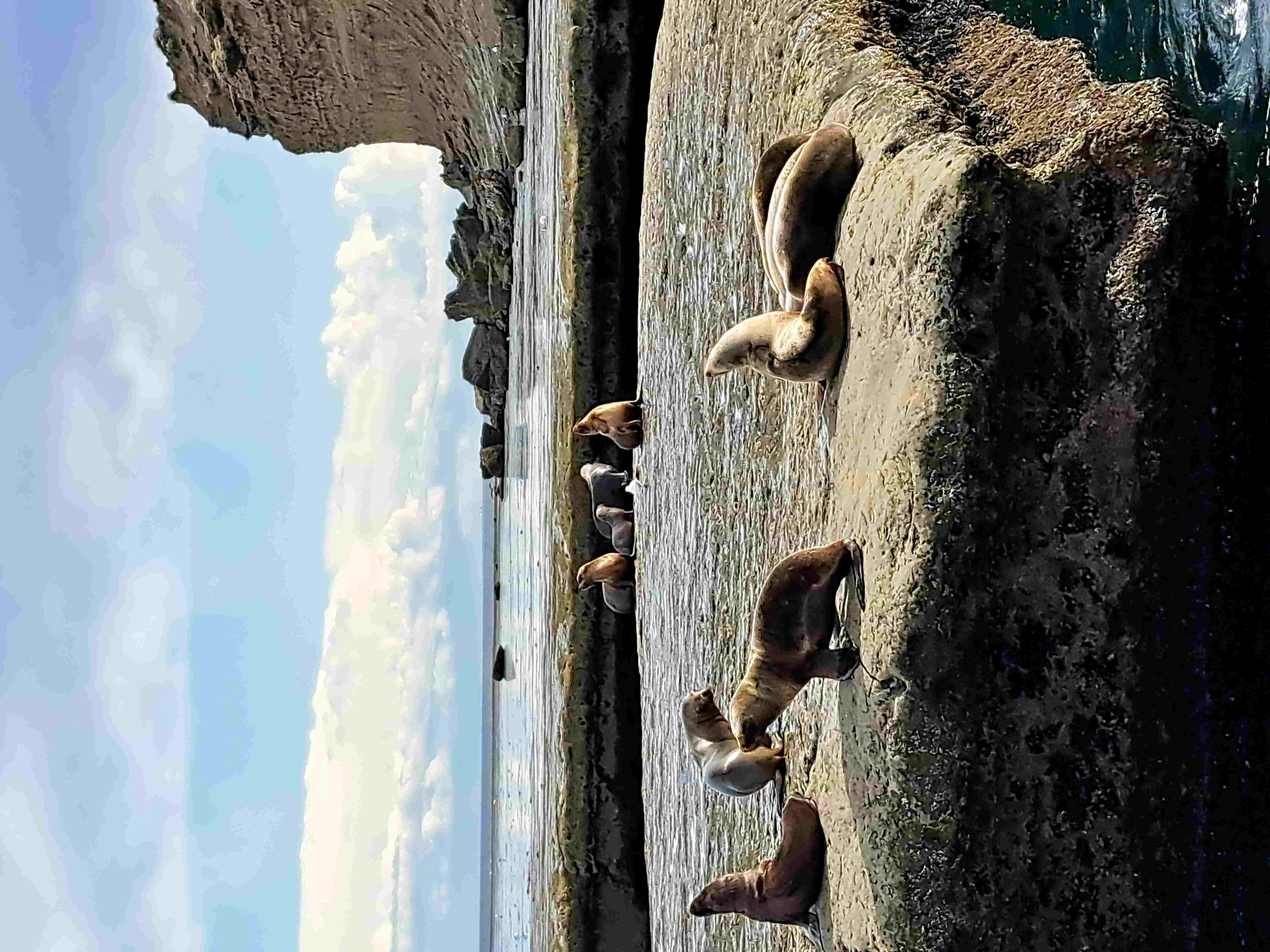 Пуэрто Мадрин